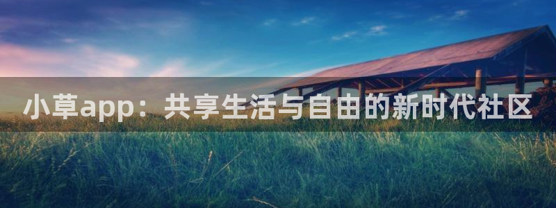 海角社区事件：小草app：共享生活与自由的新时代社区
