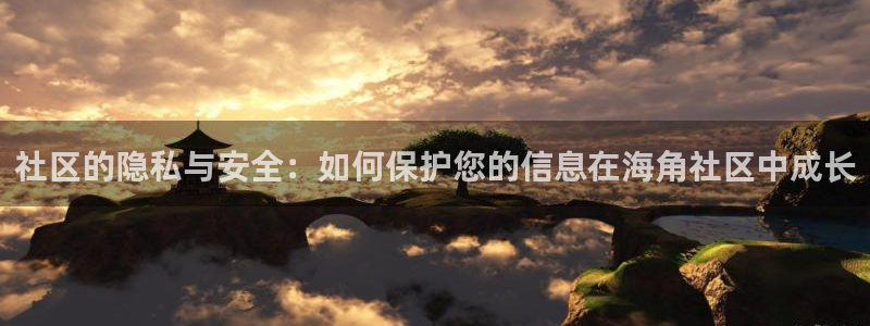 海角社区回归：社区的隐私与安全：如何保护您的信息在海角社区中成长