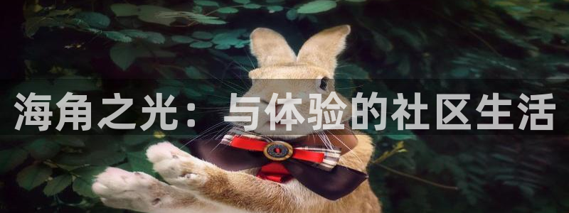 ha海角社区：海角之光：与体验的社区生活