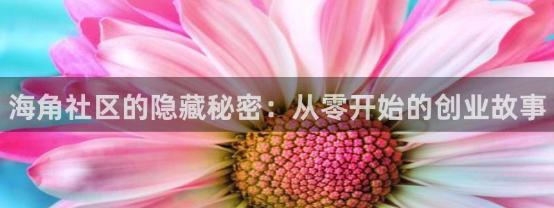 hjaee海角社区：海角社区的隐藏秘密：从零开始的创业故事