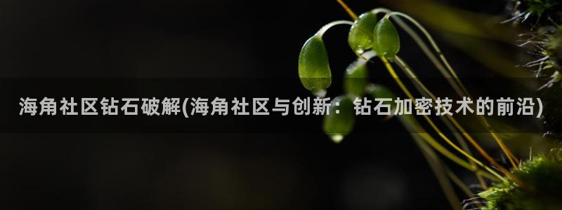 海角社区 热帖:海角社区钻石破解(海角社区与创新:钻石加密技术的前沿)