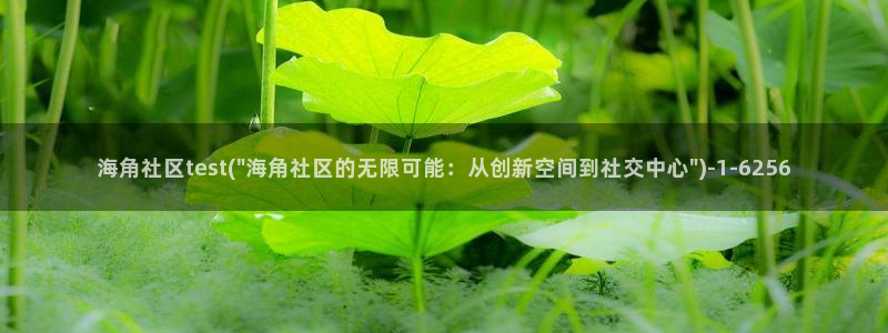 海角社区软件：海角社区test(\