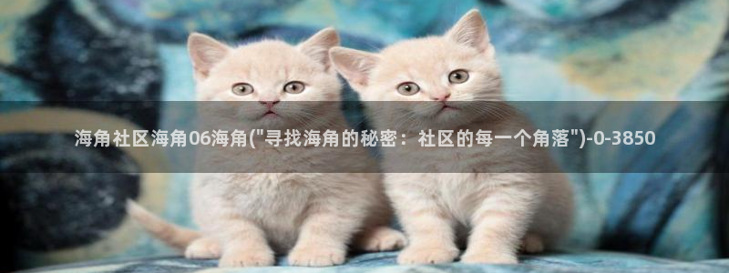 海角社区地址是多少：海角社区海角06海角(\