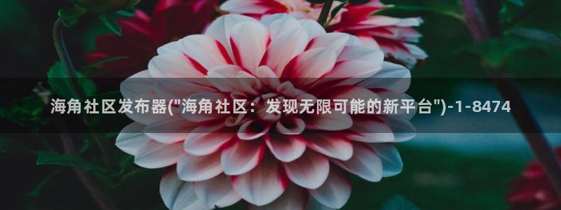 海角社区 网页：海角社区发布器(\