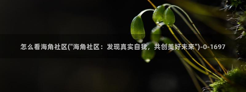 海角社区是网站还是软件：怎么看海角社区(\