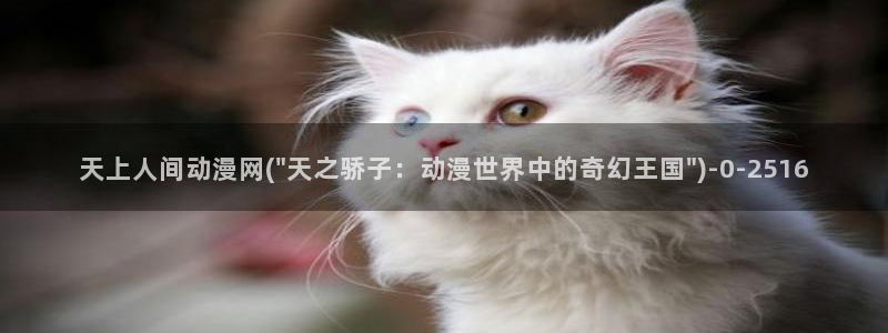 伪娘动漫