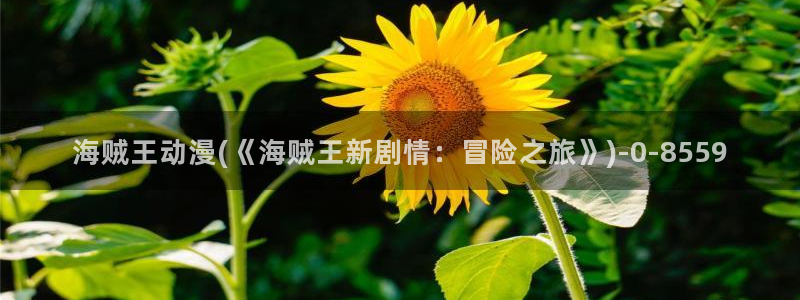 魔道祖师动漫免费