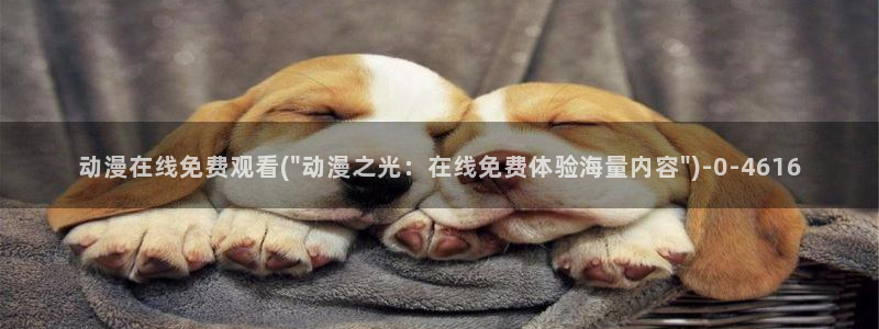 曲奇动漫