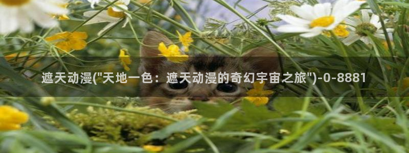acg动漫